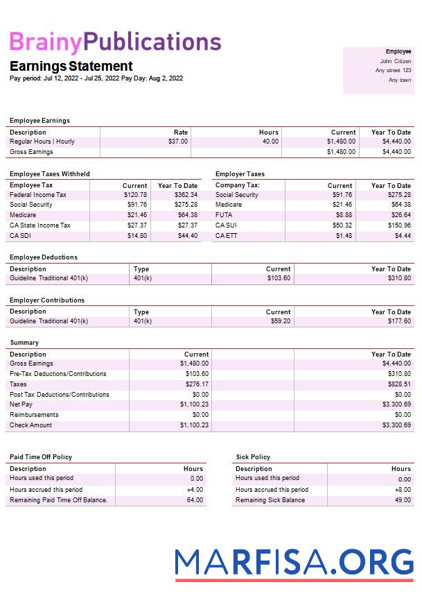 Realistic Digital publishing company paystub real example